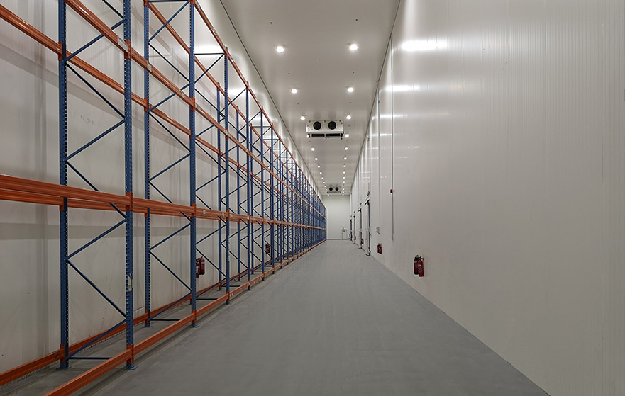 Ammonia Refrigeration plant design