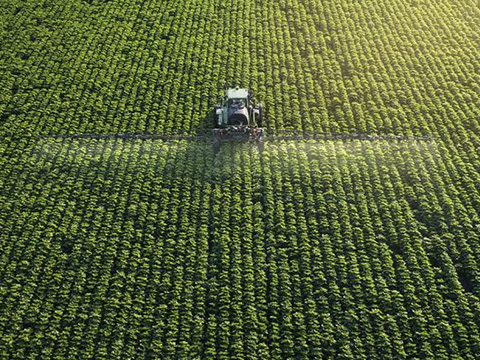 Logistics solution for Pharmaceutical Company 