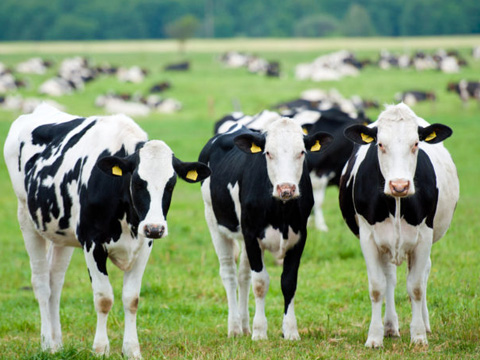 Logistics solution for 3PL Industry