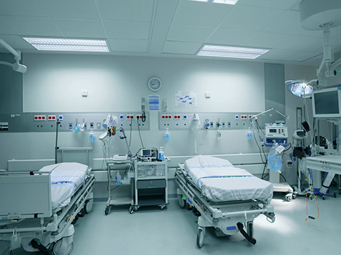 Dairy Transport Saudi Arabia